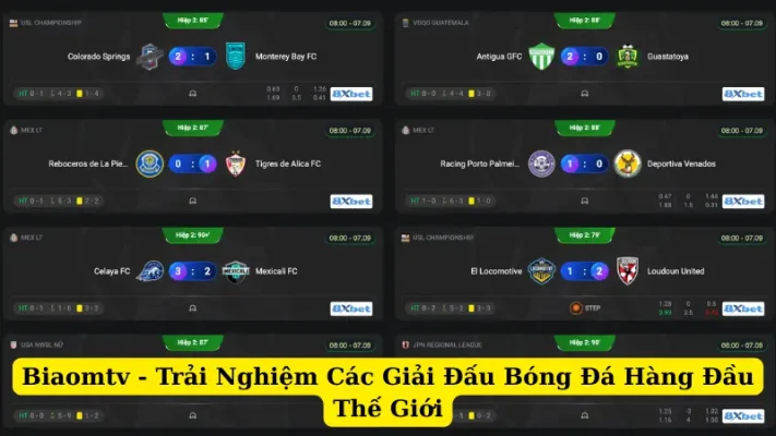 Biaomtv - Trải Nghiệm Các Giải Đấu Bóng Đá Hàng Đầu Thế Giới
