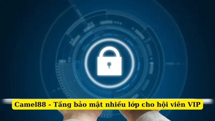 Camel88 - Tầng bảo mật nhiều lớp cho hội viên VIP